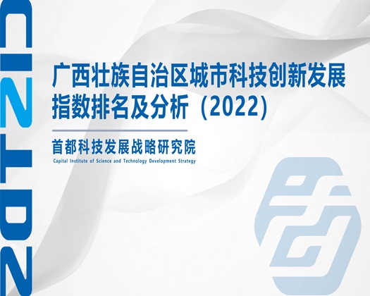 性欧美肥婆【成果发布】广西壮族自治区城市科技创新发展指数排名及分析（2022）